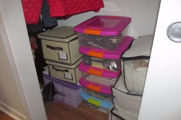 Totes and containers inside a closet.