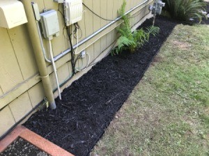 Preventing Pests Around House
 Foundation - bark along the foundation