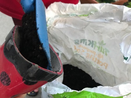 Rubber Boot Planter - begin adding potting soil