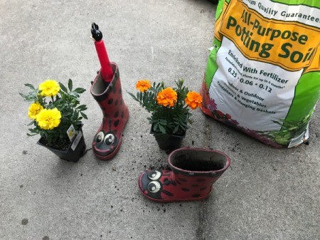 Rubber Boot Planter - boots, marigolds, and potting soil
