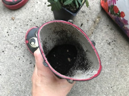 Rubber Boot Planter - leave room for flowers