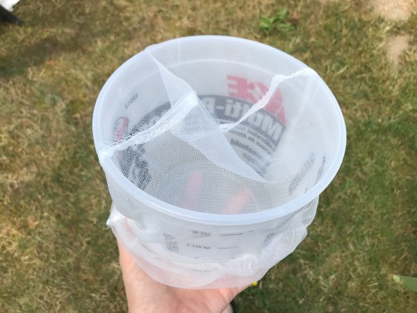 An elastic top strainer on an empty plastic paint container.