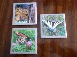 Picture Tile Coasters - butterfly tiles