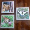 Picture Tile Coasters - butterfly tiles