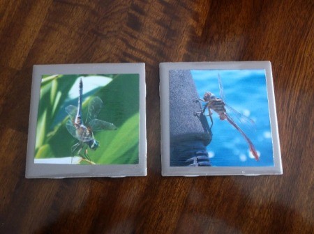 Picture Tile Coasters - dragonfly tiles
