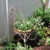Thrift Store Garden Chair Planter - planted