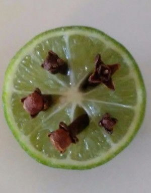 Natural Fly Repellant - whole cloves stuck into a cut lime