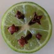 Natural Fly Repellant - whole cloves stuck into a cut lime