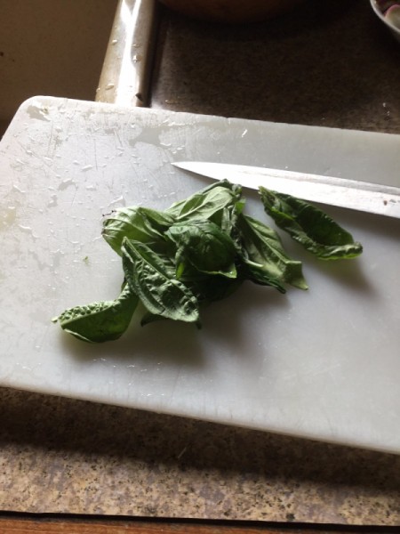 cutting basil