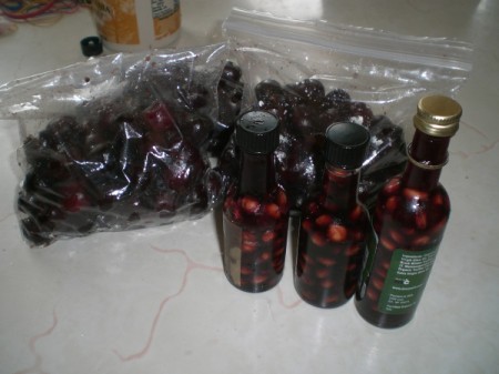Pitted cherries in ziptop bags and bottles of maple syrup with cherry pits.