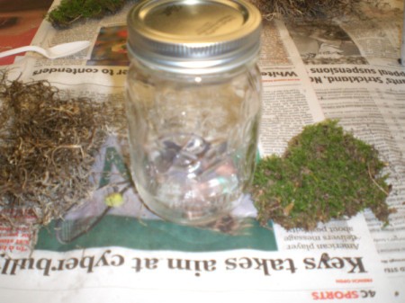 Easy Terrarium - moss and jar