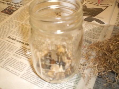 Easy Terrarium - place stones or shells in bottom of jar