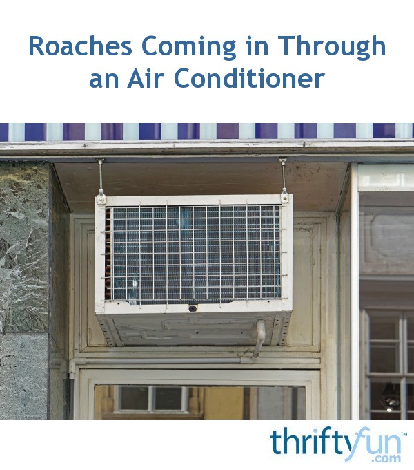 Roaches Coming in Through an Air Conditioner? ThriftyFun
