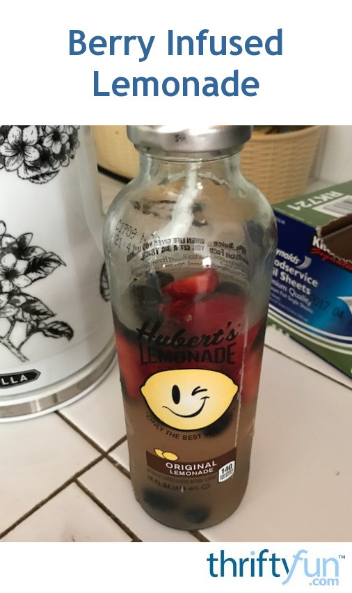 Berry Infused Lemonade Recipe ThriftyFun