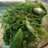 herbs and seasoning in food processor
