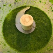 Herb Dip in processor