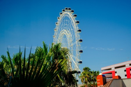 A ferris wheel at Disneyworld.