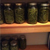 Canning jars of underprocessed green beans