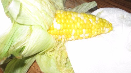 husk pulled back on corn