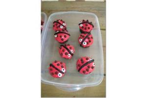 RE: Ladybug Themed Party