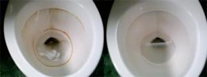 Nasty Rings in toilet...GONE!