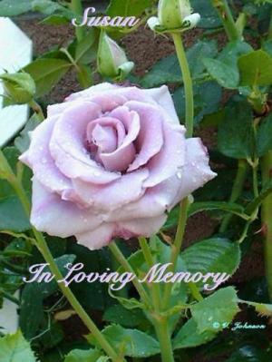 RE: Susan: ThriftyFun Says Goodbye