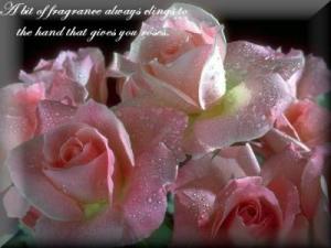 RE: Susan: ThriftyFun Says Goodbye