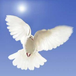 RE: Susan: ThriftyFun Says Goodbye