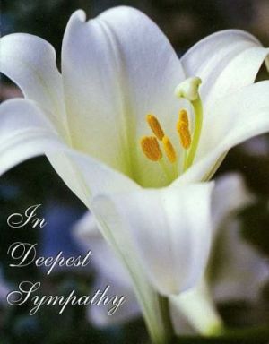 RE: Susan: ThriftyFun Says Goodbye