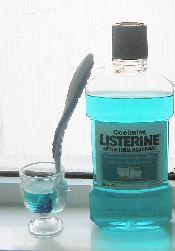RE: Use Listerine in a Spray Bottle for Many Uses