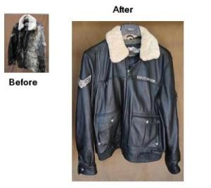 mold leather mildew removing helpful