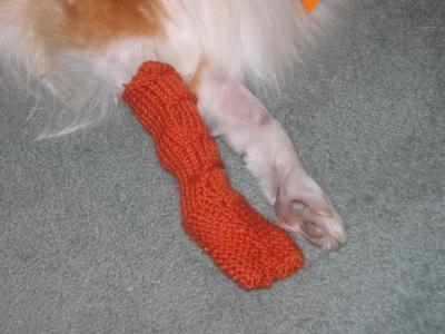 Crocheted or Knitted Dog Booties 