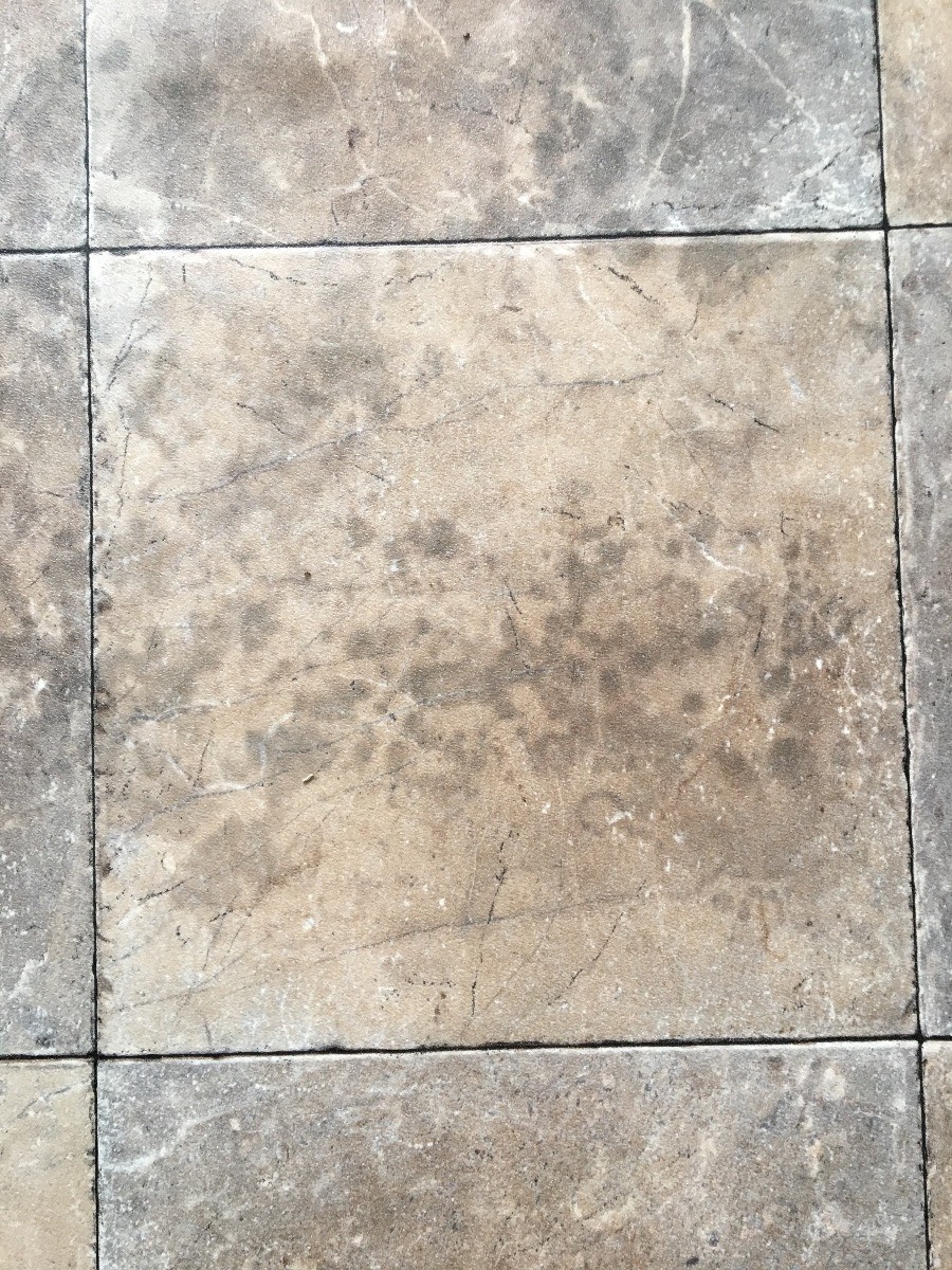 How To Remove Mold Stains From A Linoleum Floor Thriftyfun