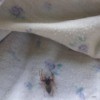 A spider on a item of clothing dried on a clothesline.