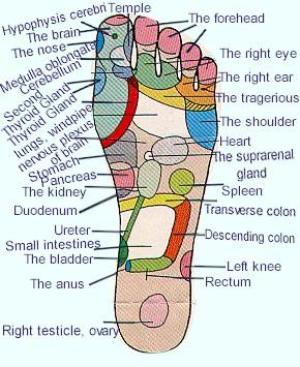 Information On Foot Pressure Points? | ThriftyFun