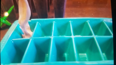 filling ice trays