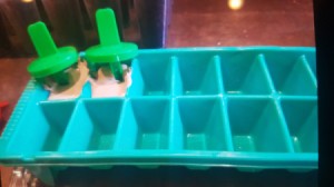 Mini Chocolate Pops in ice tray