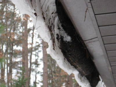 raindrop gutter guard review