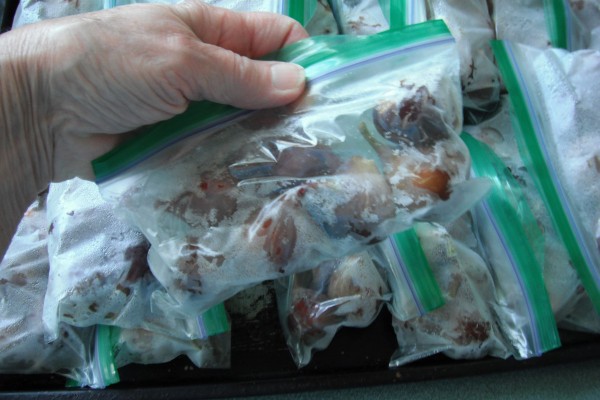 Ziptop bags of frozen figs.