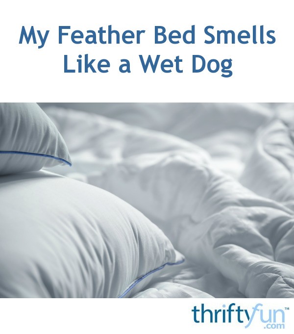 My Feather Bed Smells Like a Wet Dog? ThriftyFun