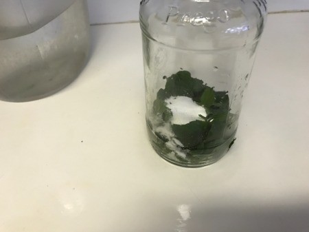 sugar added to Mint Tea