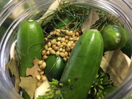 pickles and herbs in jar