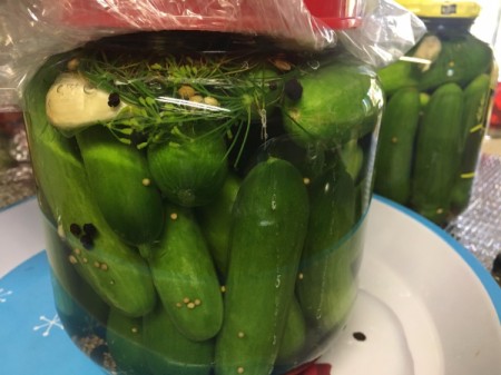 cucumbers in jar