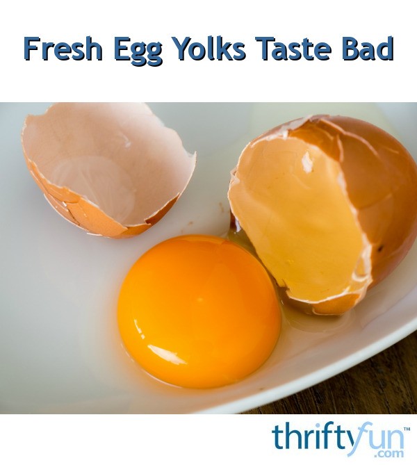 Fresh Egg Yolks Taste Bad? ThriftyFun