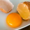 A freshly laid egg yolk.