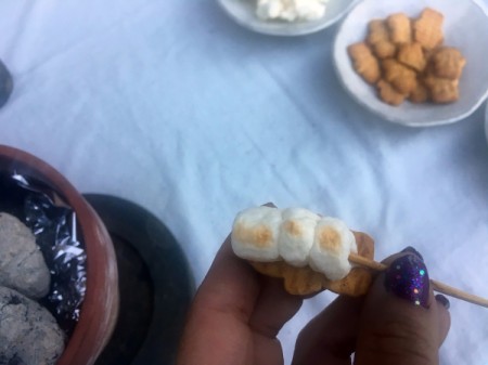 Flower Pot for Making Tabletop Mini S'mores - slide off skewer onto graham