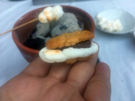 Flower Pot for Making Tabletop Mini S'mores - s'more made