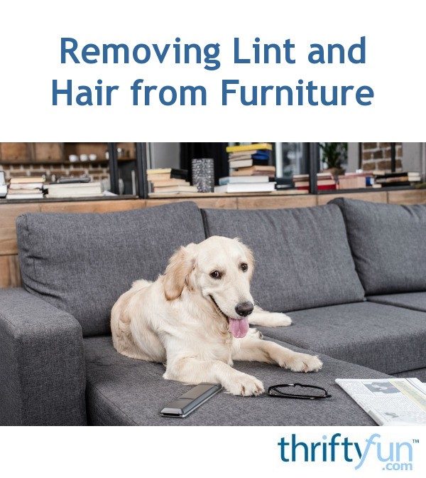 Removing Lint and Hair from Furniture ThriftyFun