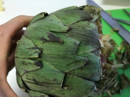 cutting top of artichokes