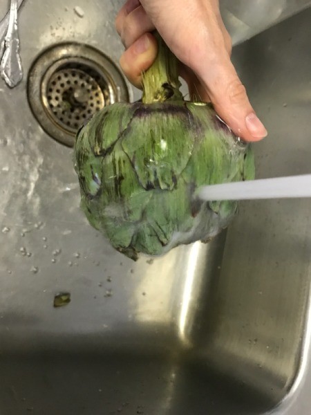 rinsing artichoke